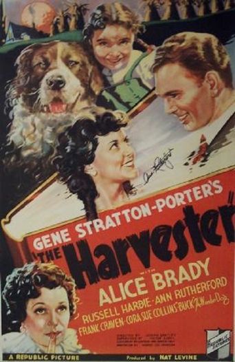  The Harvester Poster