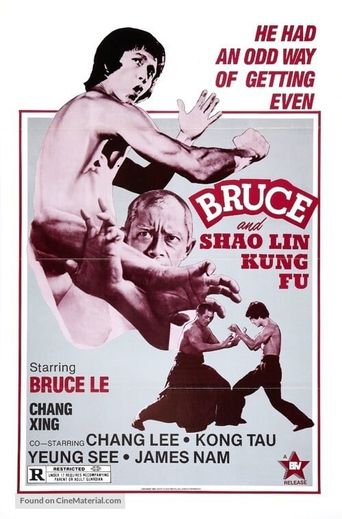  Bruce and Shaolin Kung Fu Poster