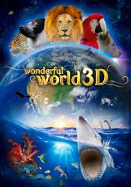  Wonderful World 3D Poster