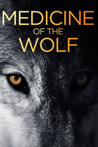  Medicine of the Wolf Poster