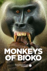  Monkeys of Bioko Poster