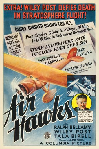  Air Hawks Poster