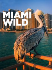 Miami Wild Poster