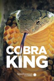  Cobra King Poster