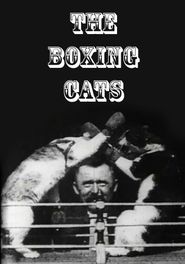 The Boxing Cats (Prof. Welton's) Poster