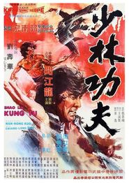  Shaolin Kung Fu Poster