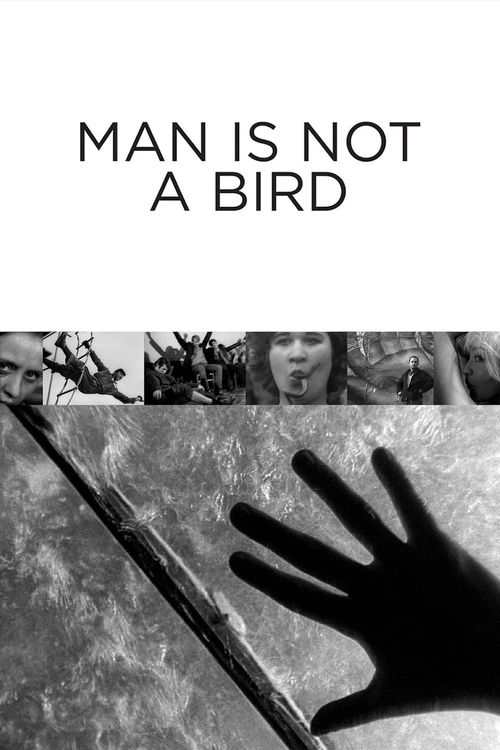 Man Is Not a Bird Poster