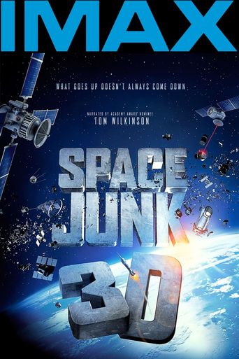  Space Junk 3D Poster