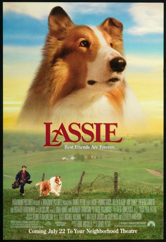  Lassie Poster