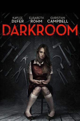  Darkroom Poster