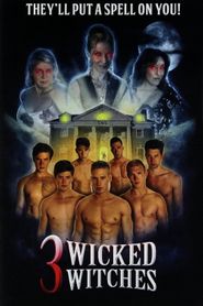 3 Wicked Witches Poster