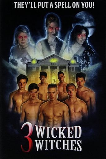  3 Wicked Witches Poster