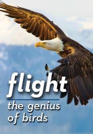  Flight: The Genius of Birds Poster