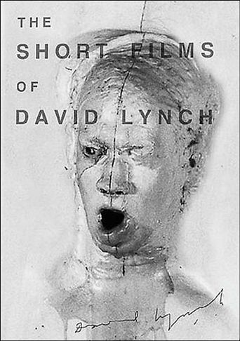  The Short Films of David Lynch Poster