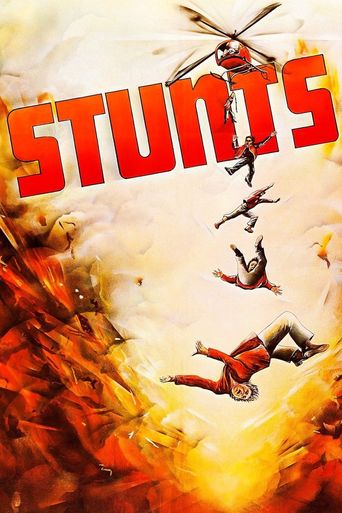 Stunts Poster