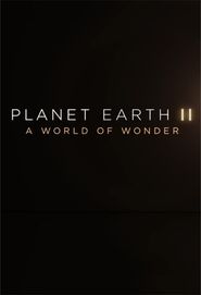  Planet Earth II: A World of Wonder Poster