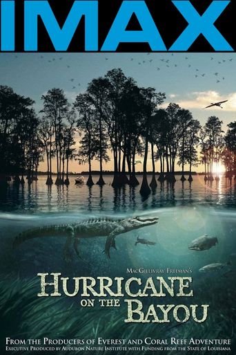  Hurricane on the Bayou Poster