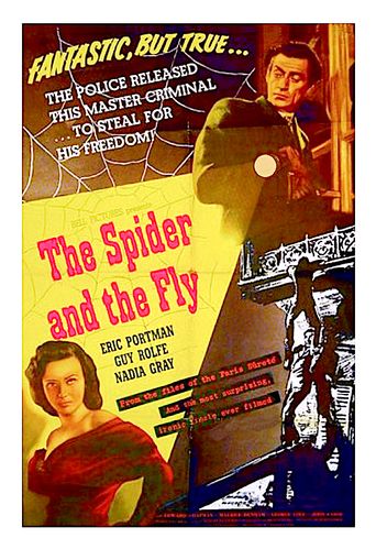 The Spider and the Fly Poster