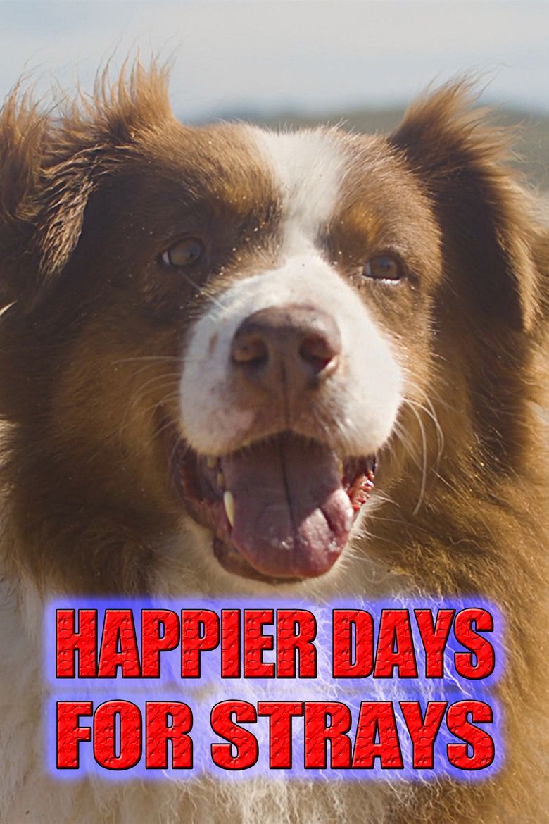 Happier Days for Strays