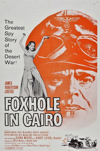 Foxhole in Cairo Poster