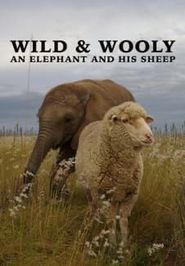  Wild and Woolly: An Elephant and His Sheep Poster