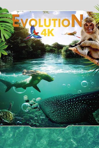  Evolution 4K Poster