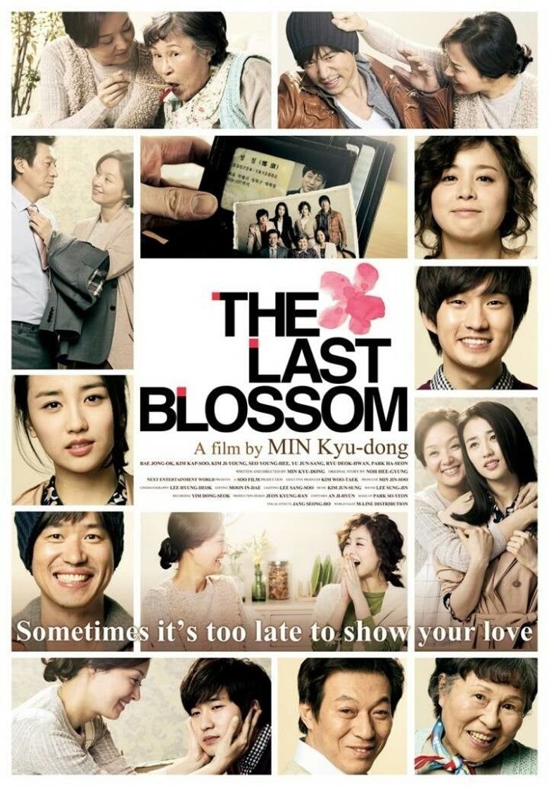 The Last Blossom Poster