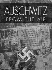  Auschwitz From The Air Poster
