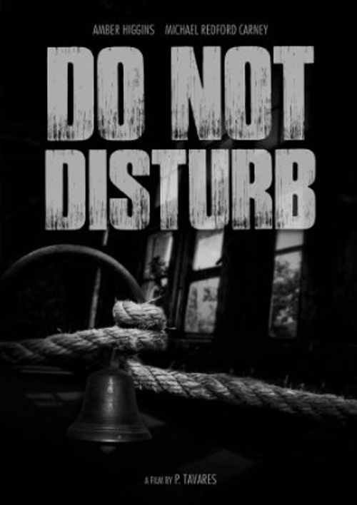 Do Not Disturb! Poster