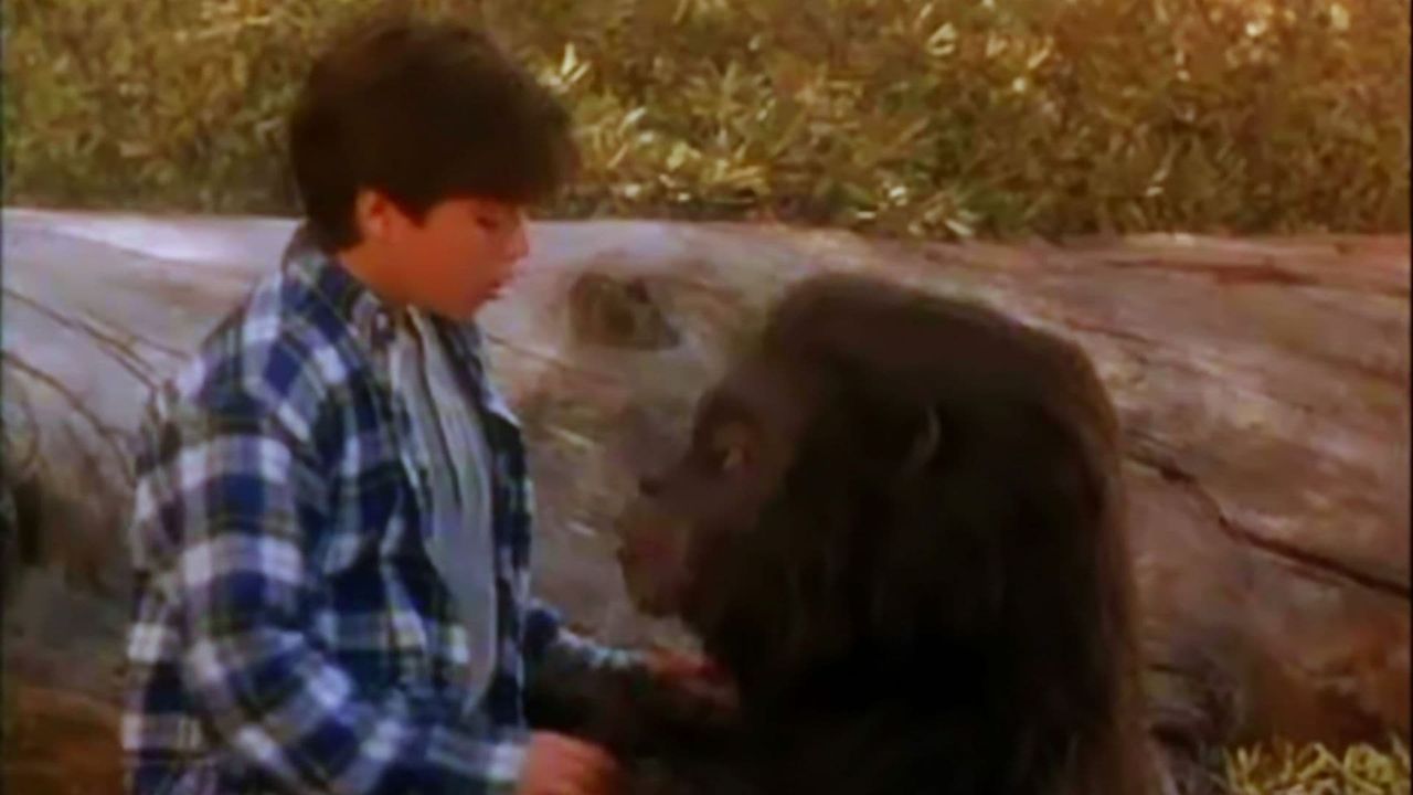 Little Bigfoot (1997): Where to Watch and Stream Online