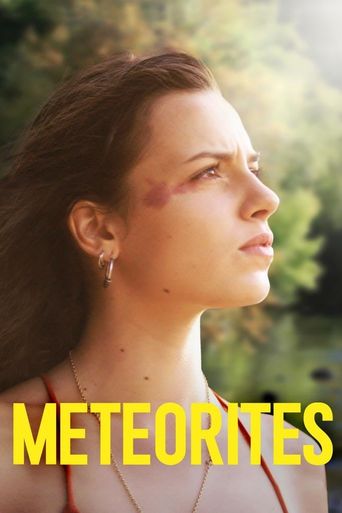  Meteorites Poster