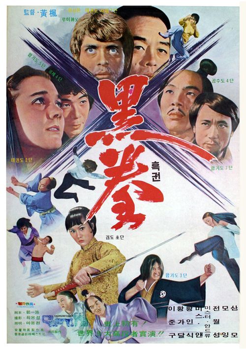 When Taekwondo Strikes Poster