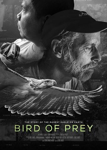  Bird of Prey Poster