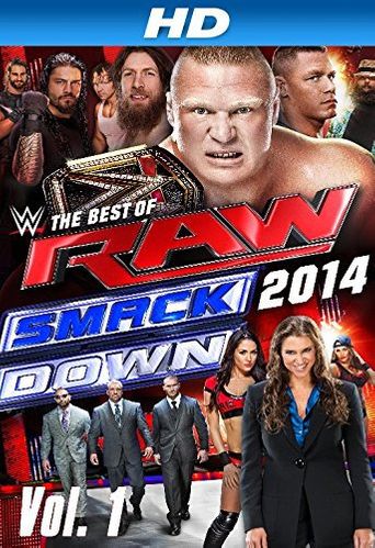  WWE: The Best of RAW and Smackdown 2014 Poster