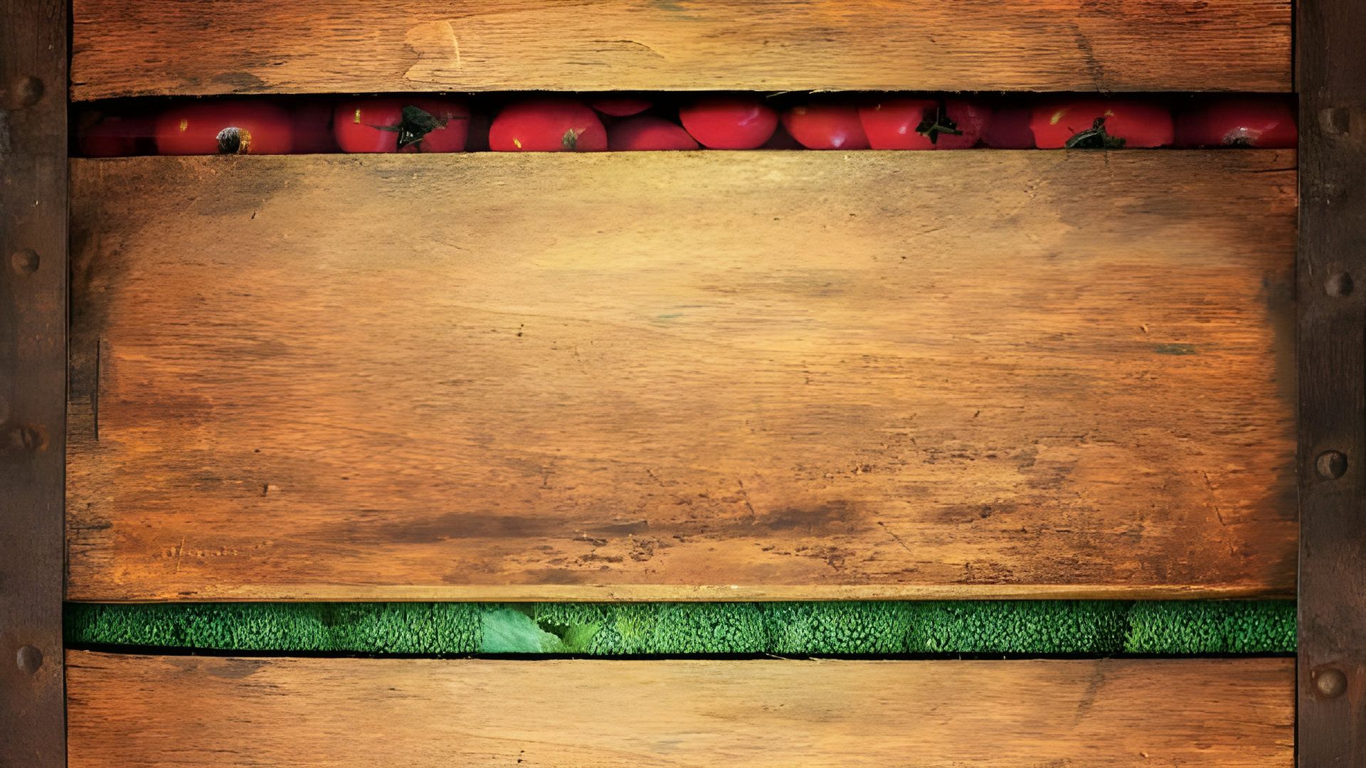 Food Matters Backdrop