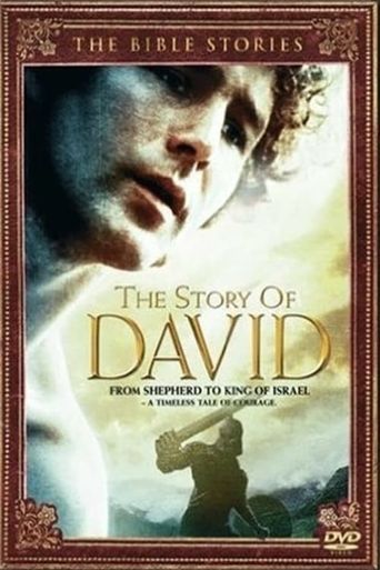  The Story of David Poster