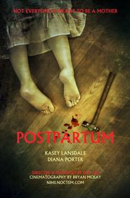  Postpartum Poster