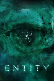  Entity Poster