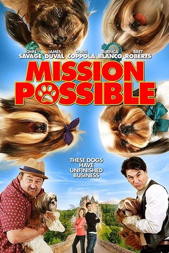  Mission Possible Poster