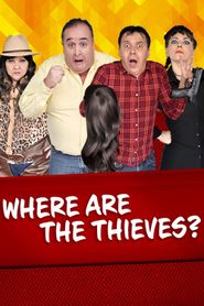  ¿En dónde están los ladrones? Poster