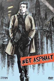  Wet Asphalt Poster