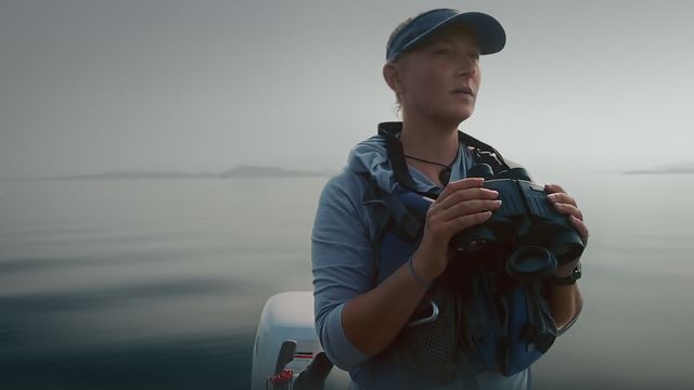 Fathom Backdrop