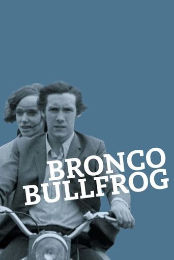  Bronco Bullfrog Poster