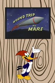  Round Trip to Mars Poster