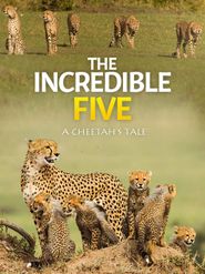  The Incredible Five A Cheetah's Tale Poster