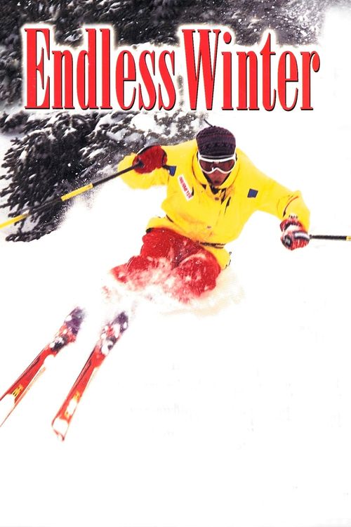 Endless Winter Poster