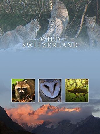  Wilde Schweiz Poster