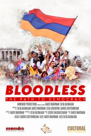 Bloodless: The Path to Democracy Poster