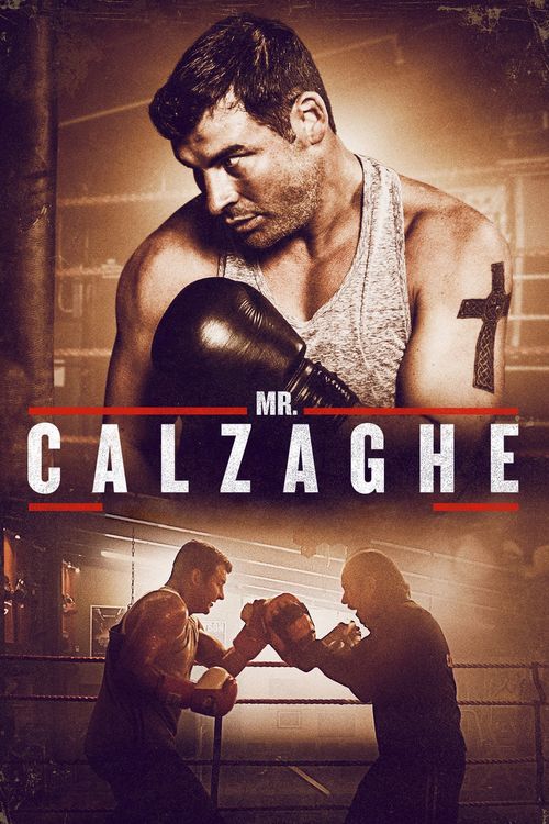 Mr Calzaghe Poster