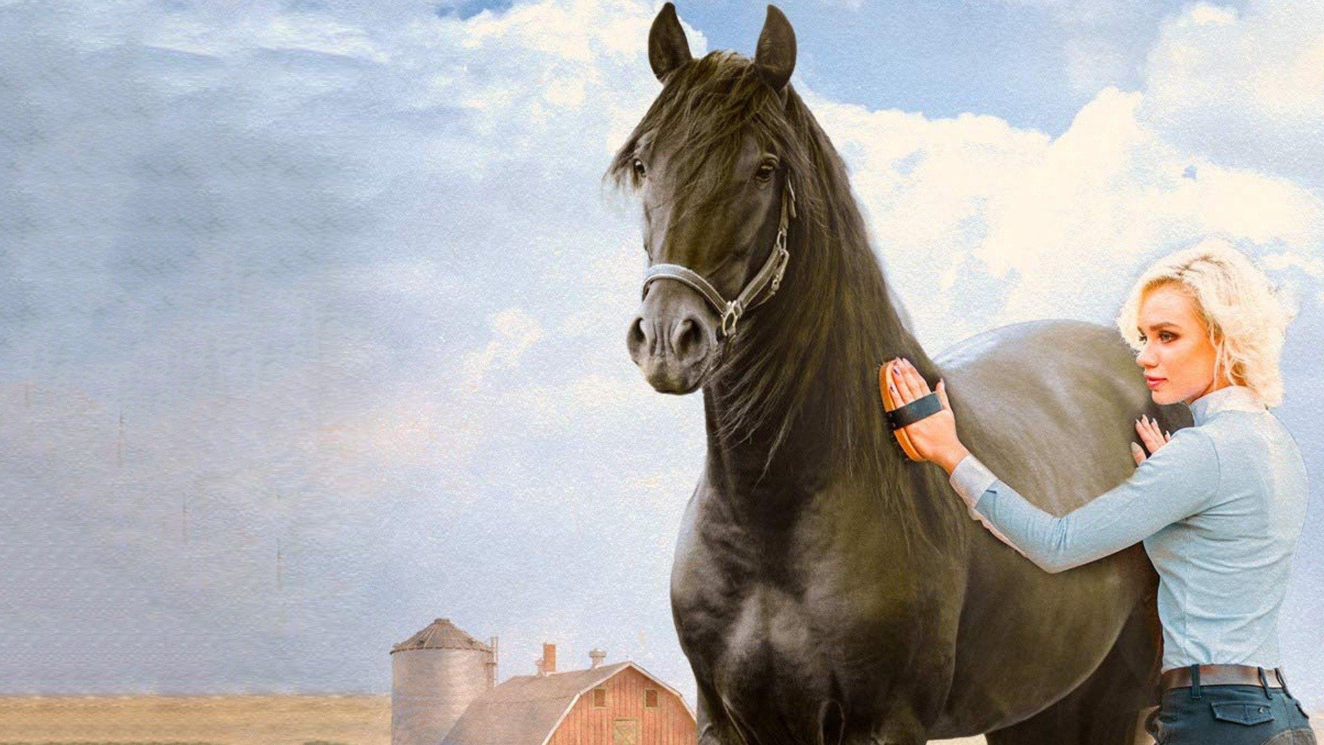 American Black Beauty Backdrop